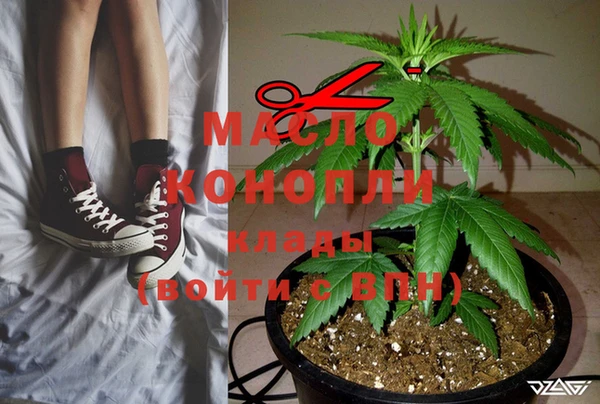 индика Абдулино