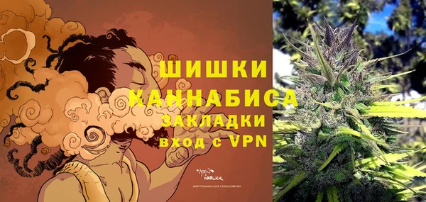 индика Абдулино