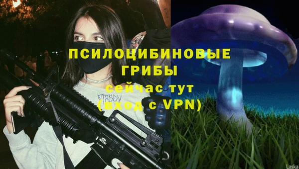 индика Абдулино