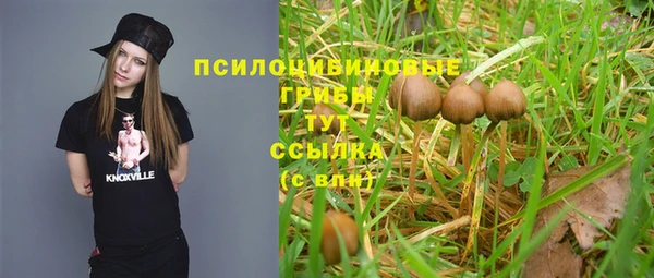 гидропоника Абинск