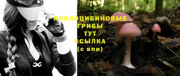 метадон Абаза