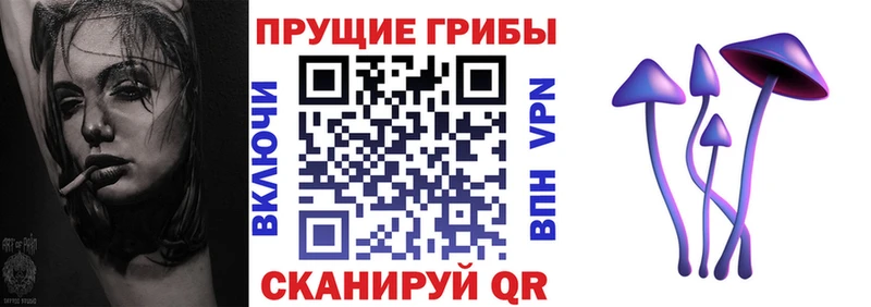 Псилоцибиновые грибы мицелий  купить закладку  Домодедово 
