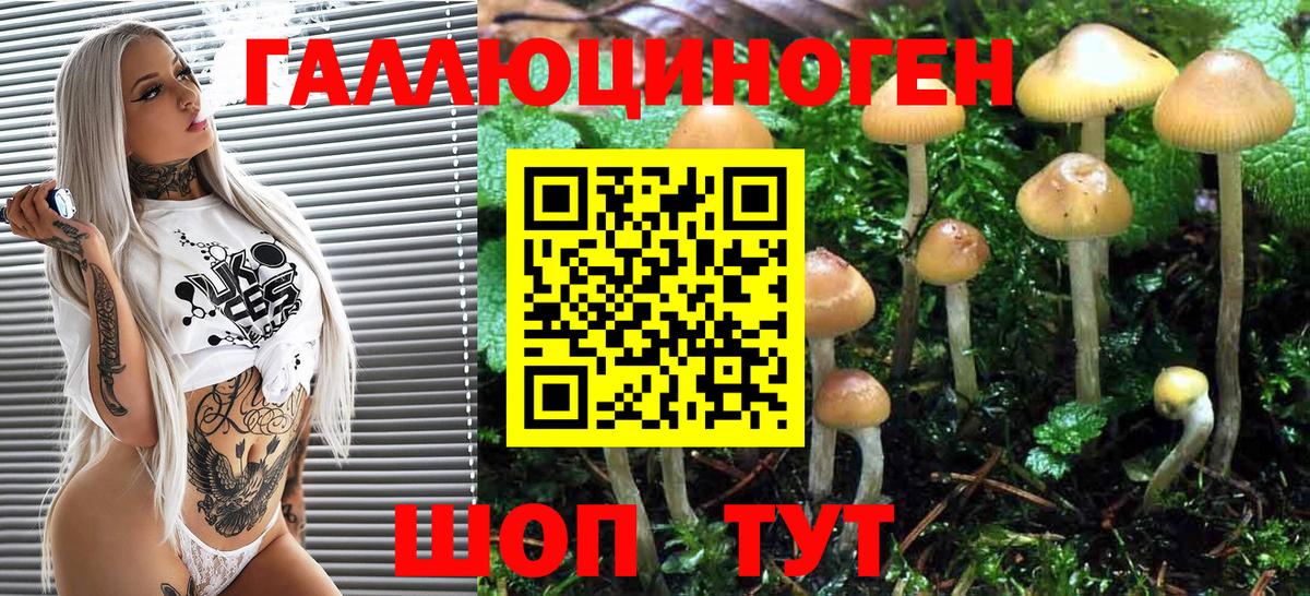 Псилоцибиновые грибы Psilocybine cubensis Домодедово